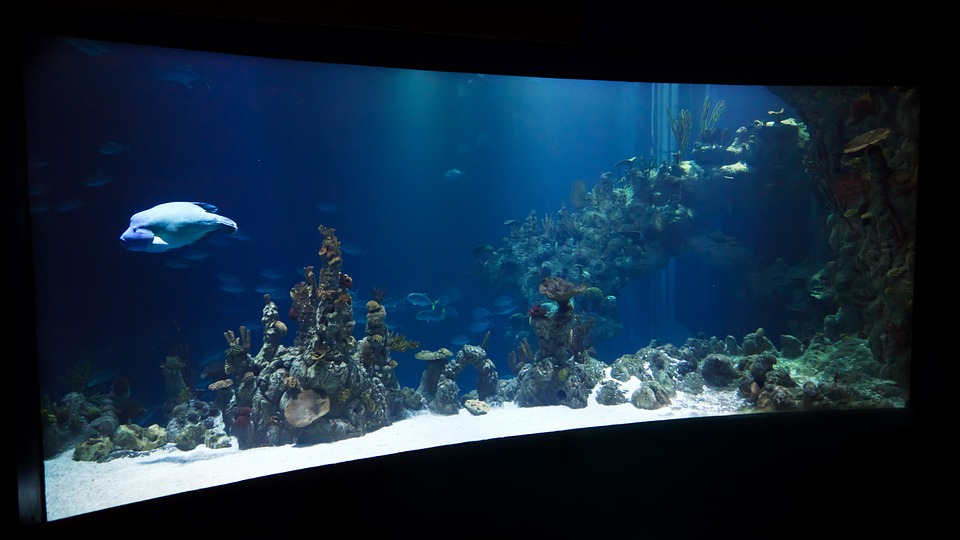 aquarium-set.de