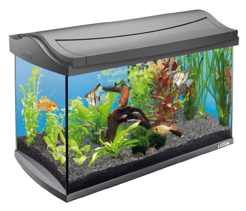 Tetra 151543 AquaArt Aquarium-Komplett-Set 60 Liter