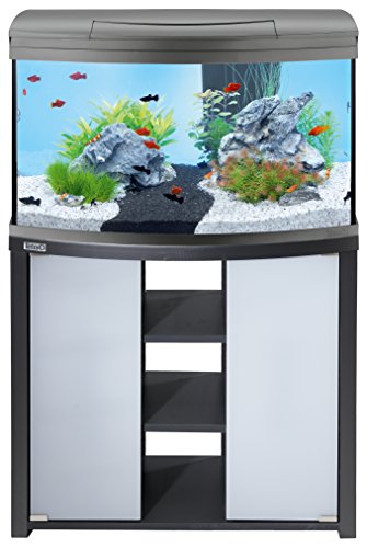 tetra-aquaart-evolution-line-led-aquarium-komplett-set-100-liter-anthrazit-5.jpg