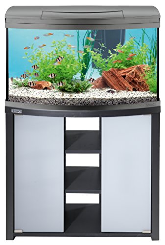 tetra-aquaart-evolution-line-led-aquarium-komplett-set-100-liter-anthrazit-6.jpg